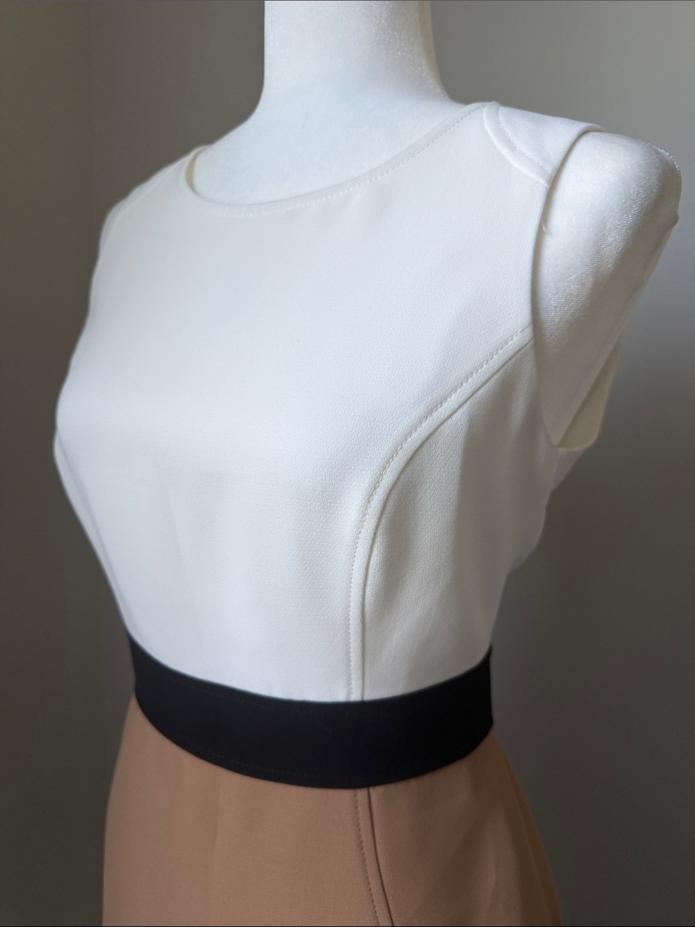 TAHARI ASL Sleeveless Colorblock Sheath Dress White / Black / Camel Size 6P - Picture 5 of 13